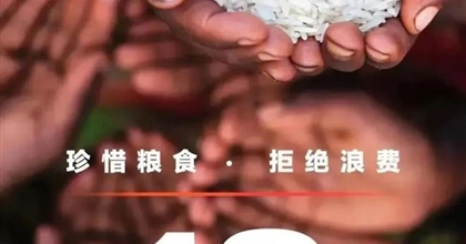 公益廣告丨節約糧食 倡導光盤行動